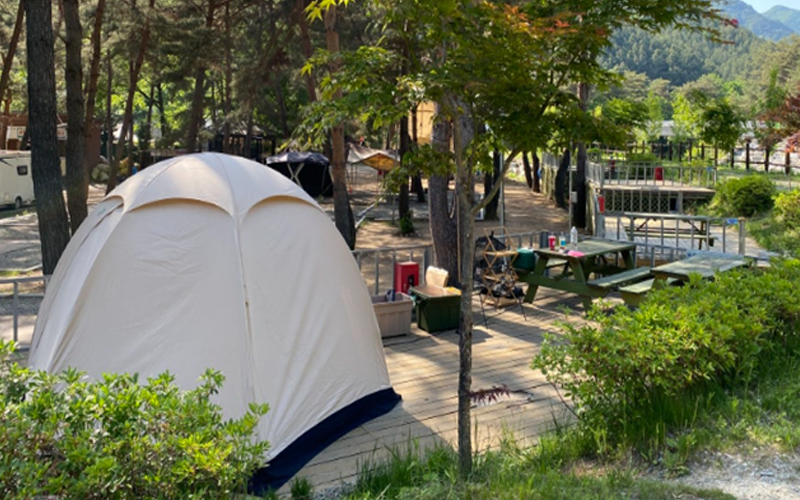 공용 시설 상태 예시